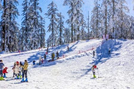 2024九鼎山太子岭滑雪场滑雪攻略-门票价格-雪场信息