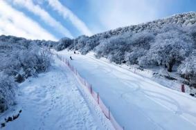 太子嶺滑雪場在哪里 怎么去