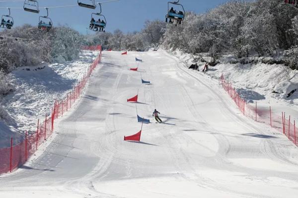 2023-2024太子岭滑雪场门票价格