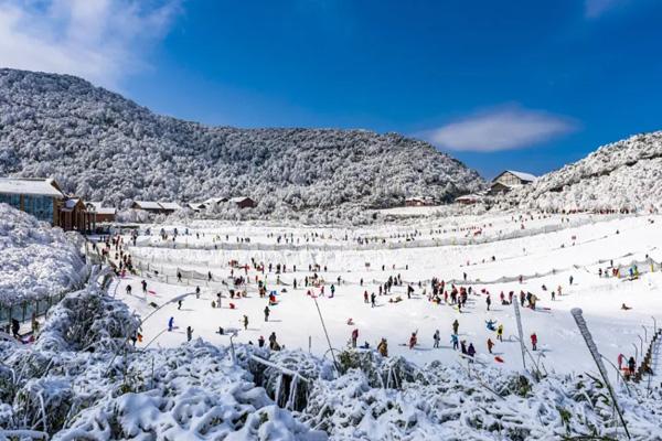 重庆仙女山滑雪场在哪里