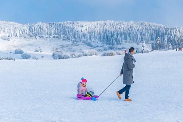 重庆仙女山滑雪场在哪里