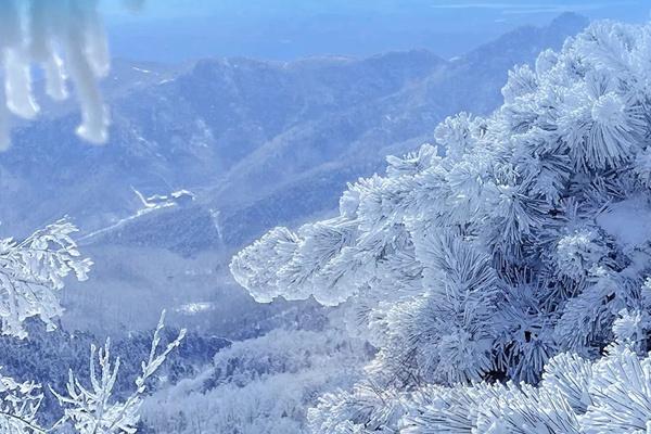 2023-24河南人凭济郑高铁票免费游沂山风景区活动详情