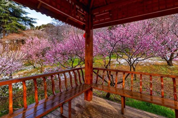 無錫梅園景點介紹