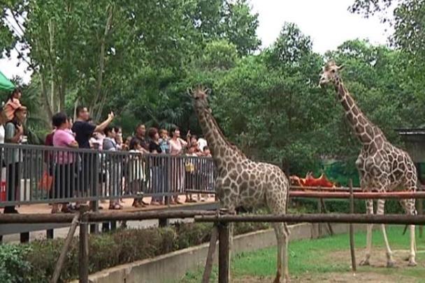 2024王城動物園年票辦理指南