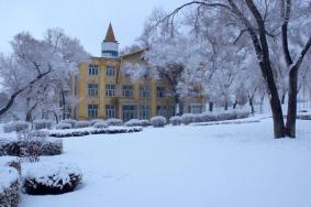 哈尔滨哪里的雪景最美