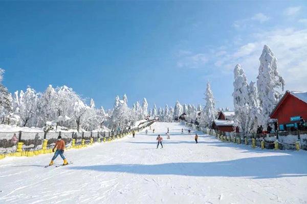 2023-2024峨眉山雷洞坪滑雪场开放时间最新消息