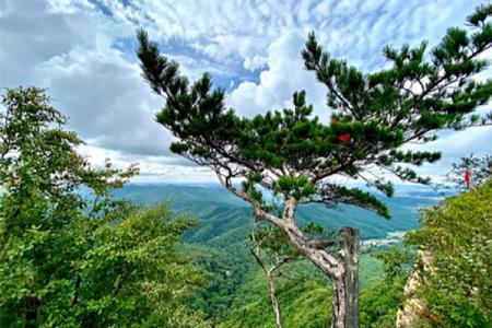 2024通化鸡冠山国家森林公园旅游攻略 - 门票价格 - 优惠政策 - 开放时间 - 交通 - 地址 - 电话 - 天气