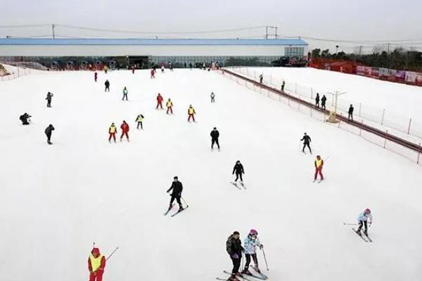 妙木山滑雪場開放時間