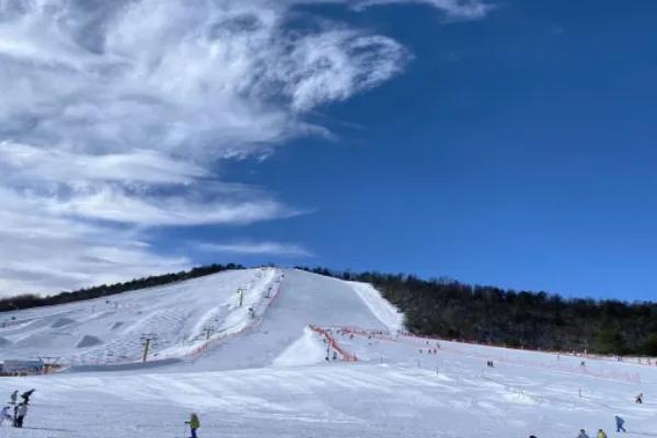 妙木山滑雪場開放時間