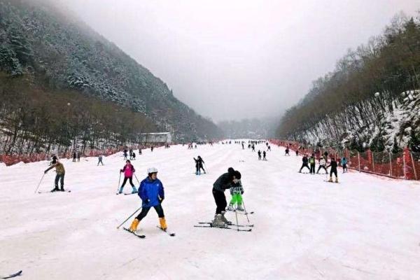 雪乡滑雪场和亚布力滑雪场哪个好