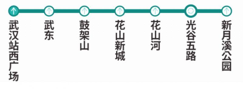武汉地铁19号线开通日期+最新线路图+站点明细+换乘站点
