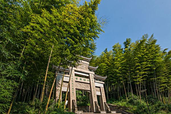 2024永川茶山竹海門票多少錢一張