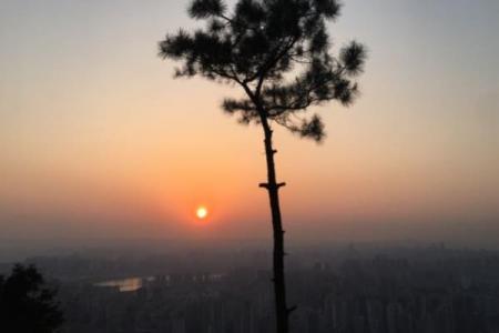2024壹华里夜景公园游玩攻略 - 简介 - 门票 - 交通 - 地址 - 电话 - 开放时间 - 天气