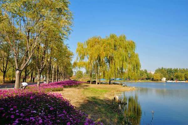 北京朝阳公园门票多少钱2024