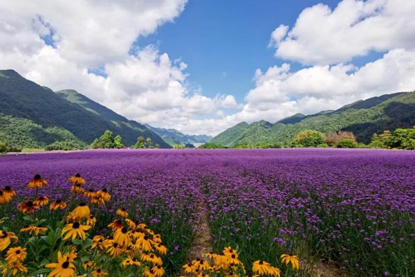 2024紅池壩門票多少錢一張