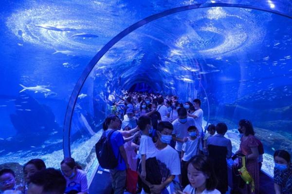 武漢海昌極地海洋公園表演時間表2024