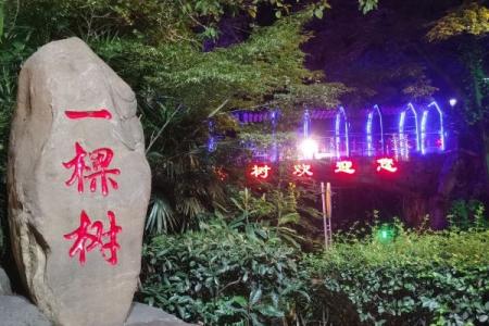 南山一棵树游玩攻略-门票价格-景点信息