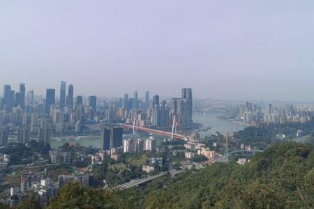南山一棵树游玩攻略-门票价格-景点信息
