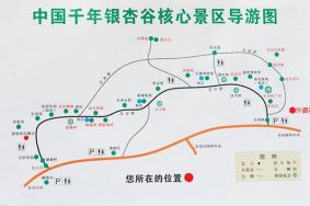 中国千年银杏谷游玩攻略-门票价格-景点信息