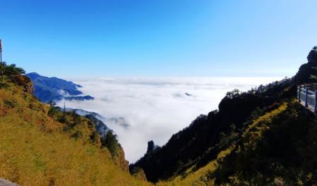 神农顶风景区游玩攻略-门票价格-景点信息