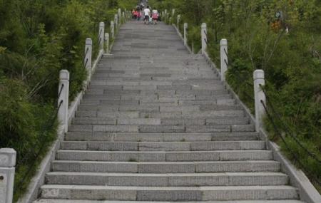 神农顶风景区游玩攻略-门票价格-景点信息
