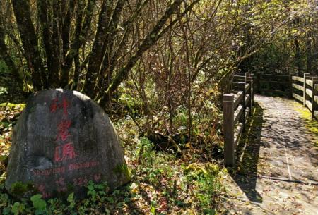 神农顶风景区游玩攻略-门票价格-景点信息