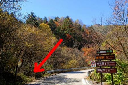 神农顶风景区游玩攻略-门票价格-景点信息
