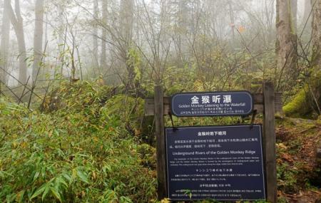 神农顶风景区游玩攻略-门票价格-景点信息
