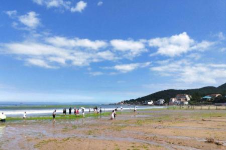 2024青岛仰口海水浴场旅游攻略 - 门票价格 - 开放时间 - 电话 - 地址交通 - 交通 - 天气 - 简介