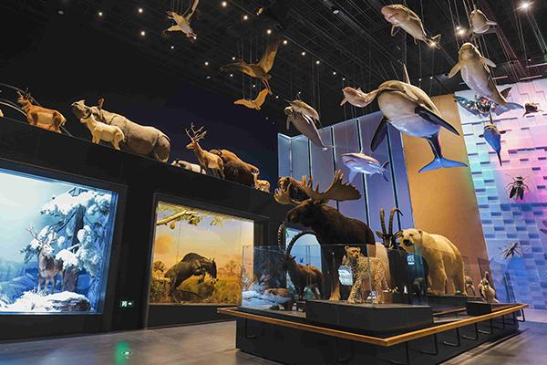 保定自然博物馆门票多少钱2024