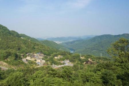2024中坡山森林公园旅游攻略 - 门票价格 - 开放时间 - 优惠政策 - 交通 - 地址 - 电话 - 天气
