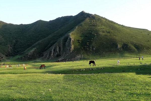 2024内蒙古扎鲁特旗山地草原门票 - 开放时间 - 旅游攻略 - 地址 - 交通 - 天气 - 电话 - 简介