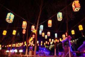 2024温州春节有什么活动