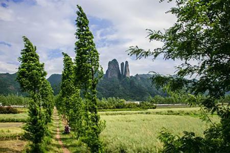 江郎山风景区门票优惠政策2024