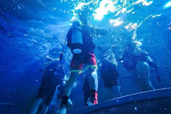 2024大东海国际潜水俱乐部游玩攻略-门票价格-景点信息