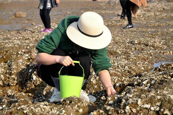 青岛哪里可以赶海捉海鲜