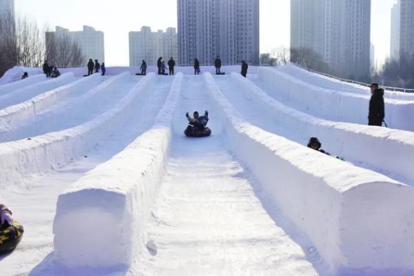2024年哈尔滨免费冰场有哪些