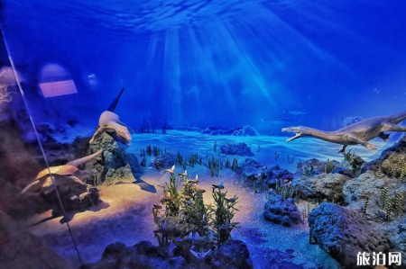 2024国家海洋博物馆游玩攻略-门票价格-景点信息
