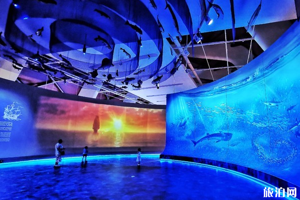 2024国家海洋博物馆游玩攻略-门票价格-景点信息