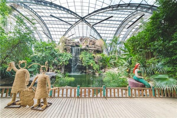 2024天津热带植物观光园游玩攻略-门票价格-景点信息