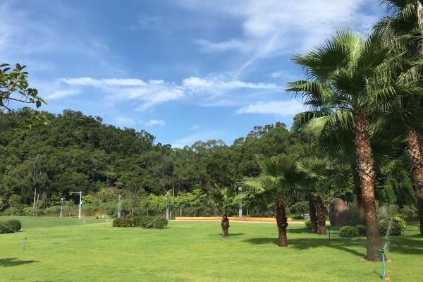 珠海野貍島公園停車場收費標準