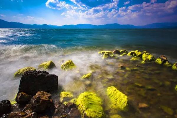 2024抚仙湖风景区门票多少钱