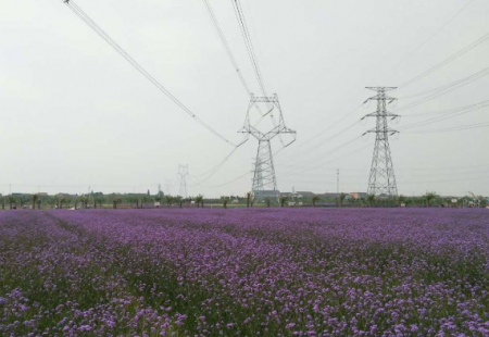 2024常州薰衣草庄园游玩攻略-门票价格-景点信息
