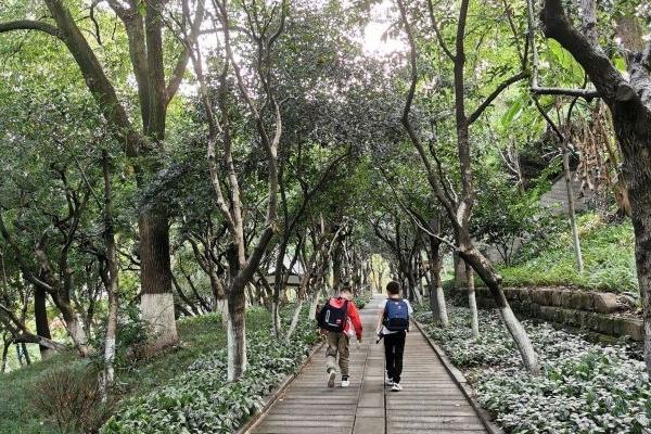 萬州西山公園門票多少錢