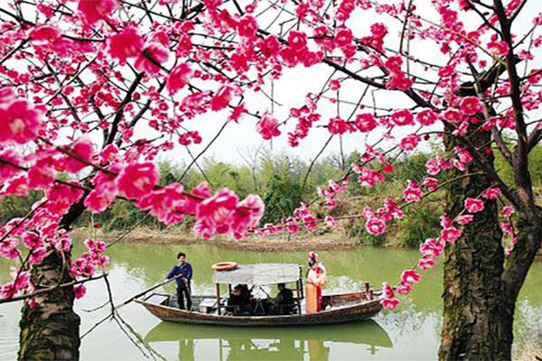 超山風景區(qū)門票本地人免費嗎