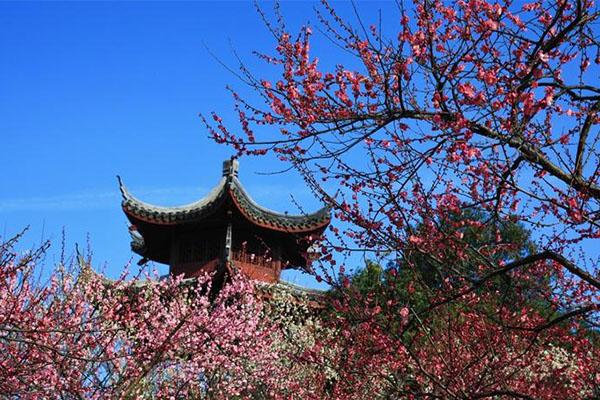 超山風景區(qū)門票本地人免費嗎