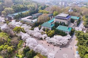 武汉大学樱花在哪一个校区