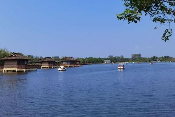 杭州灣海上花田景區(qū)幾月份去好