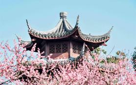 2024杭州超山风景区旅游攻略-门票价格-景点信息