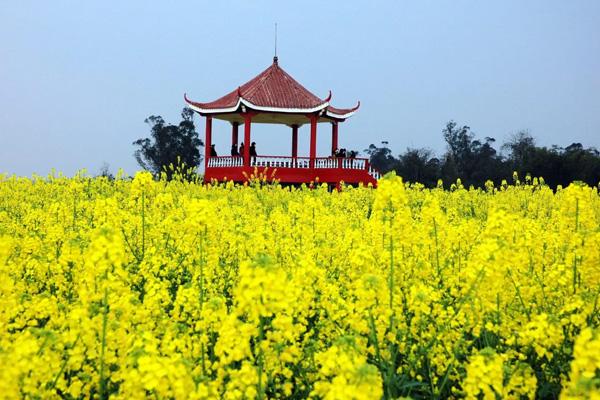 2024潼南油菜花景區門票多少錢